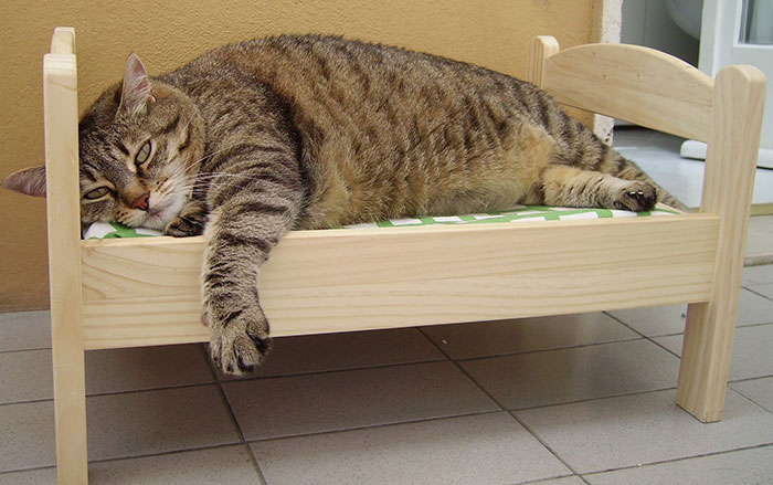 ikea-duktig-bed-hack-cat-bed-7.jpg