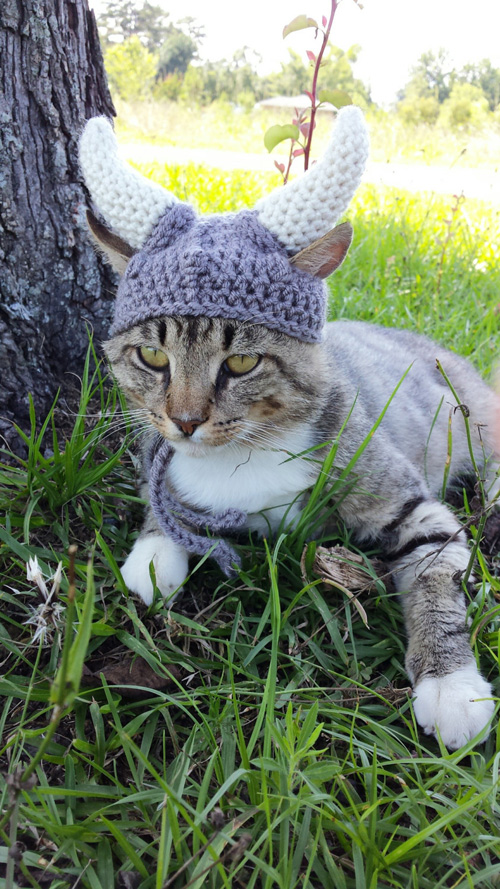 kitty-cat-viking-hat-01.jpg