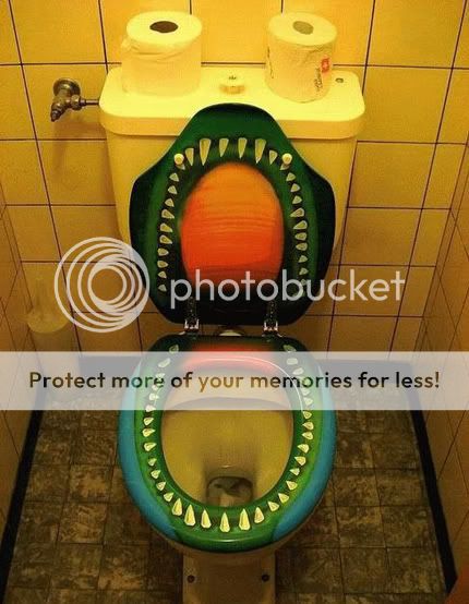 821-bizarre-toilet.jpg